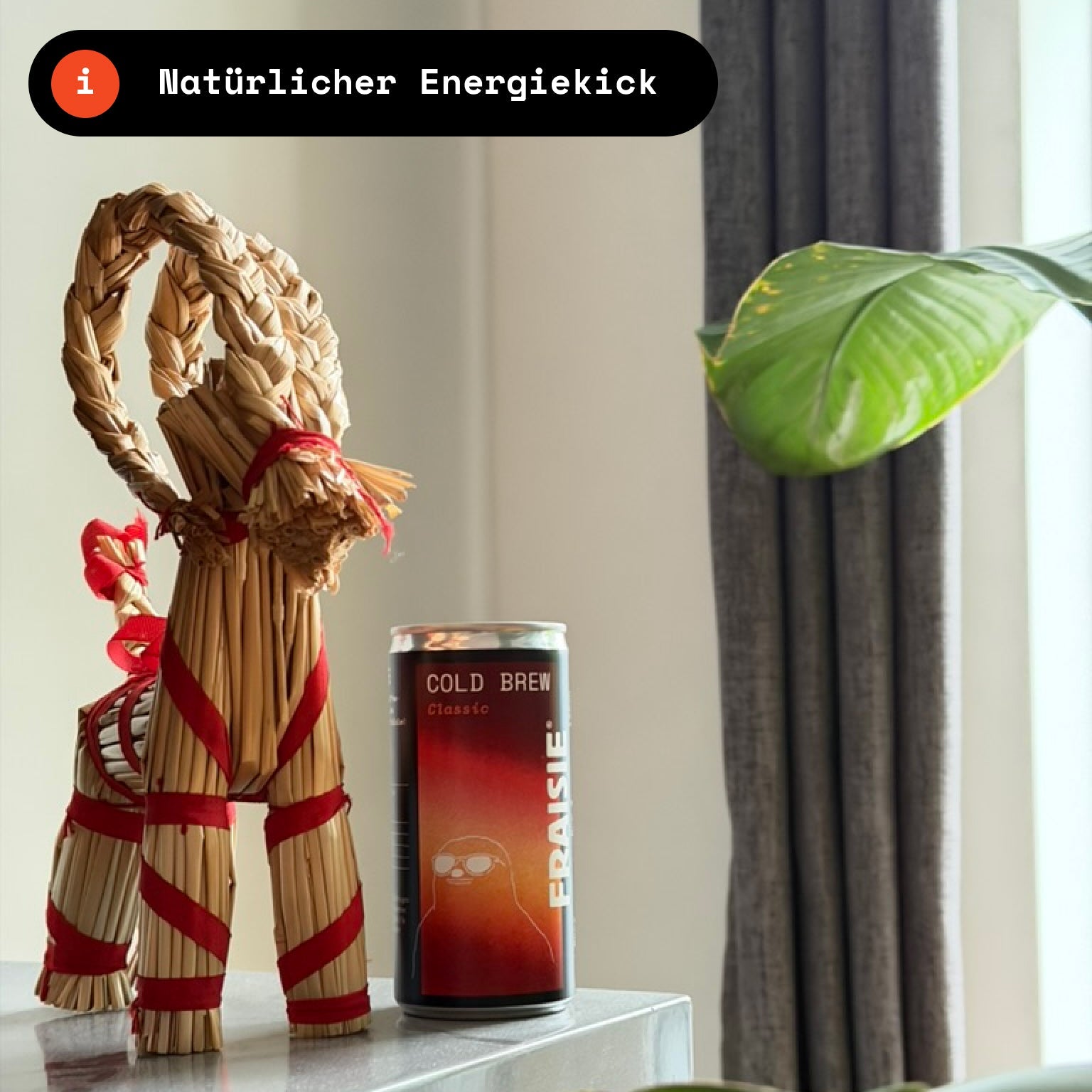 Classic Cold Brew (Bundle) - Fraisie